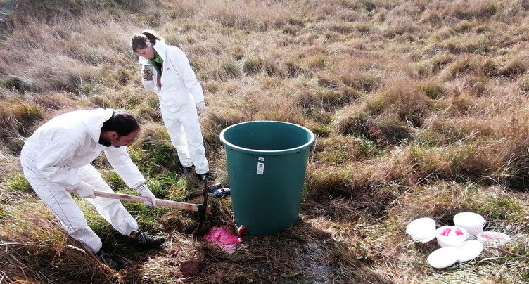 Ça coule de source, en couleurs, à la Haute-Borne