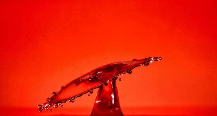 Le monde et ses surprises : la cascade de sang en antarctique