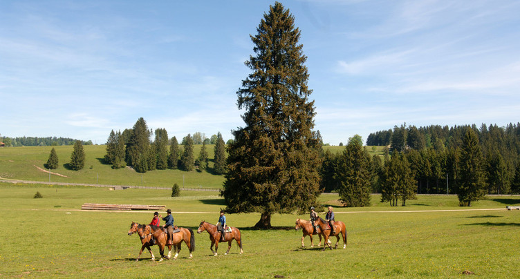 « Tous en selle » remporte un prix du tourisme suisse