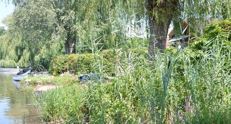 Coup de pouce au maintien des chalets dans la Grande Cariçaie