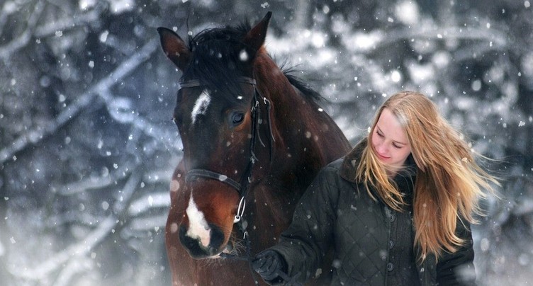 Une application pour trouver le cheval de sa vie