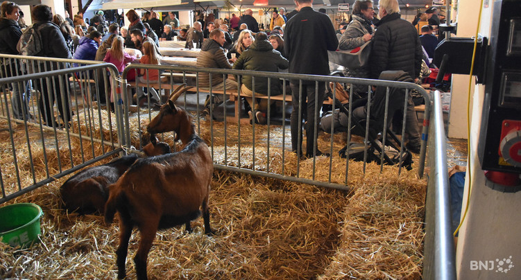 Pas de Marché paysan cette année à Moutier