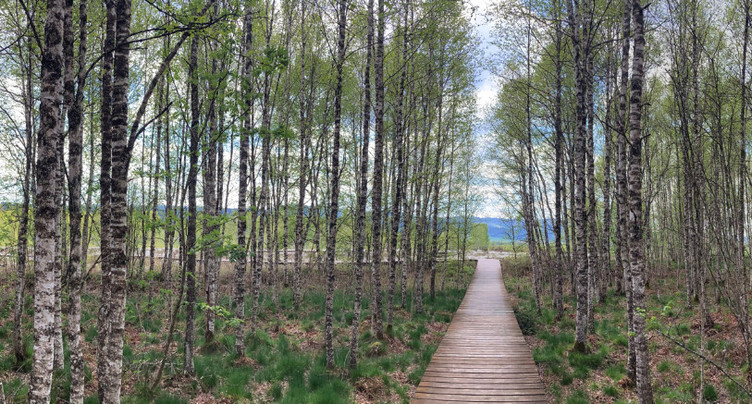 La Maison de la Tourbière primée au Prix de l’Arc jurassien 2025