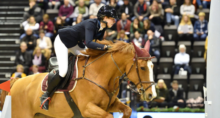 Les cavaliers de la région sont inquiets pour leurs chevaux