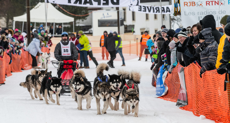 Les courses de chiens de traîneaux annulées à Saignelégier