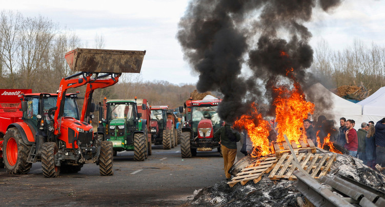 Dermatose nodulaire : les agriculteurs de France voisine prévoient des actions coup de poing