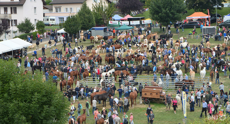 La foire de Chaindon reportée