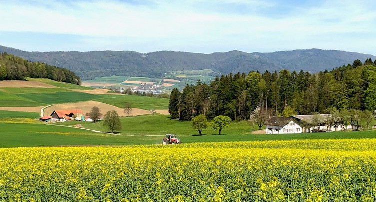 Moins d’exploitations agricoles, plus d’animaux de rente