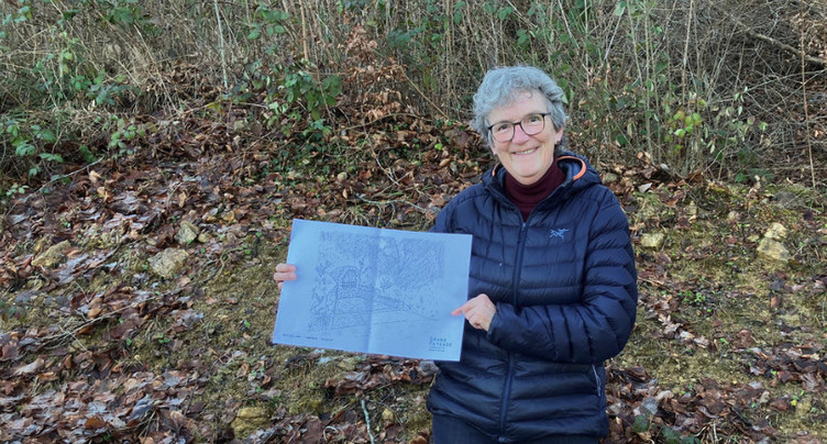 Une grotte dédiée à Marie pourrait voir le jour à Ederswiler
