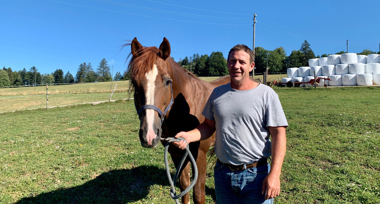 Chevaux et éleveurs au repos