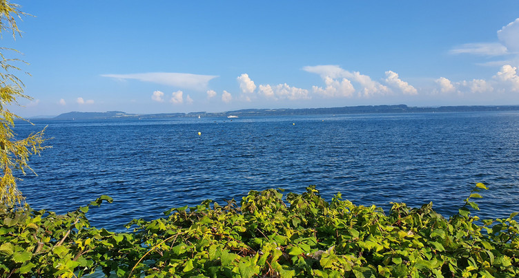 Lac de Neuchâtel : zone d'observation de 3 km de large