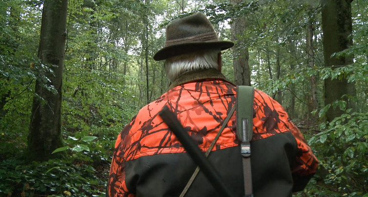 La chasse n'a (presque) pas été entravée par le Covid-19
