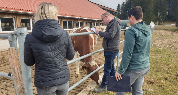La ferme la mieux tenue peut être dans la région