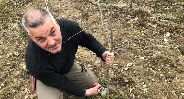 Coup de pouce pour SOS vergers