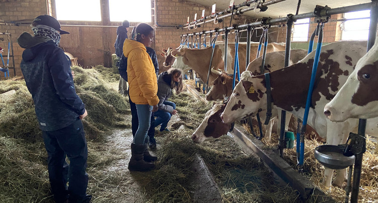 Des écoliers découvrent la vie à la ferme