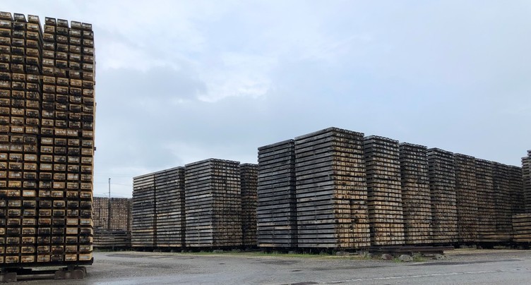 Le Groupe Corbat utilise ses déchets de bois pour créer de l’énergie