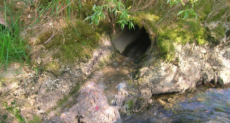 Rejets d'eaux polluées décelées en Ajoie