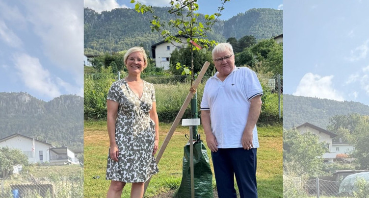 Un tilleul planté à Moutier