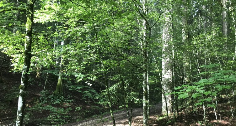 Le parcours VITA fermé jusqu’à nouvel avis à Delémont 