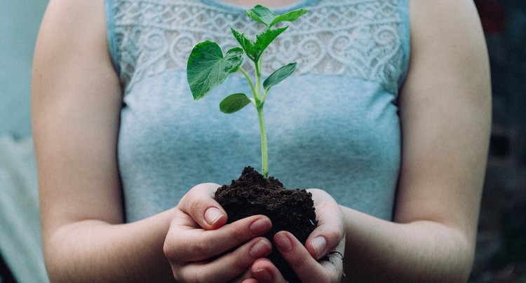 Les jeunes appelés à s’engager pour le climat