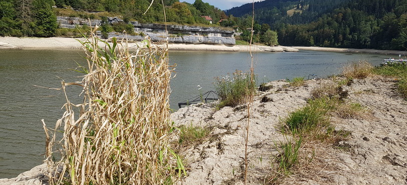 Le Doubs au niveau des Brenets