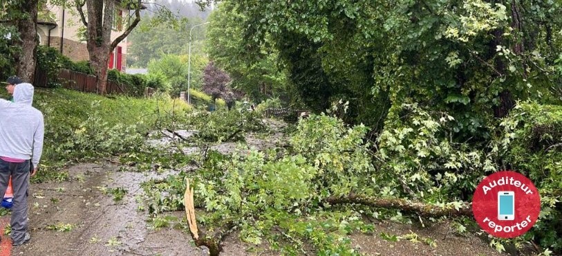 Des branches sur la chaussée à La Chaux-de-Fonds