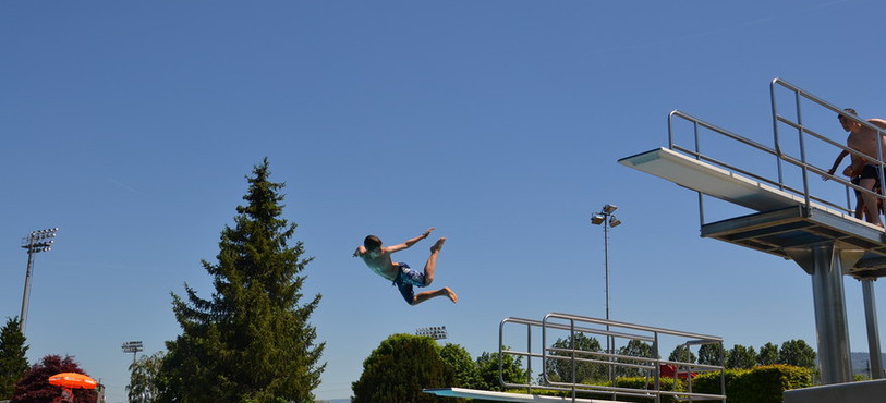 Libre comme l'oiseau