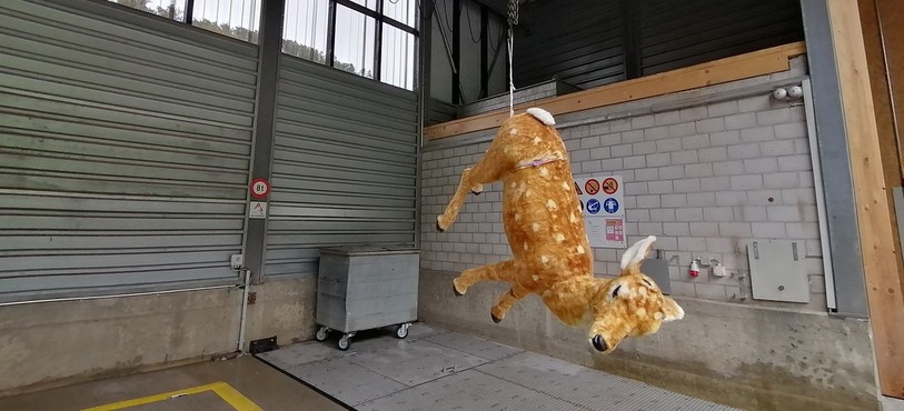 Une peluche au-dessus des bacs pour récupérer les déchets carnés.