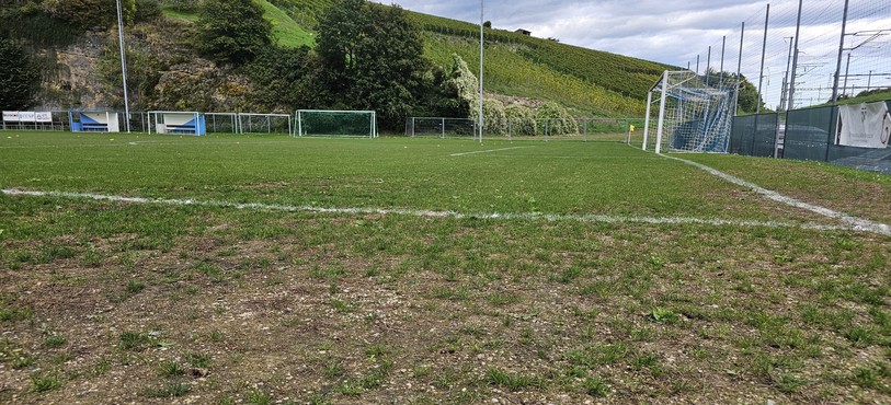 Le terrain du stade des Malévaux est mal en point.