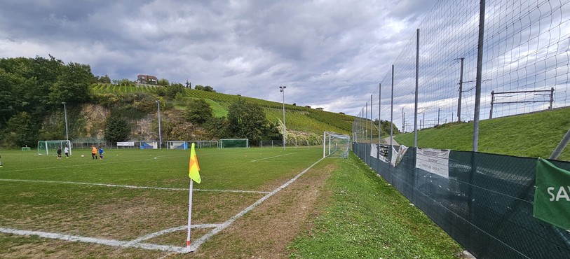 Le terrain du stade des Malévaux est mal en point.