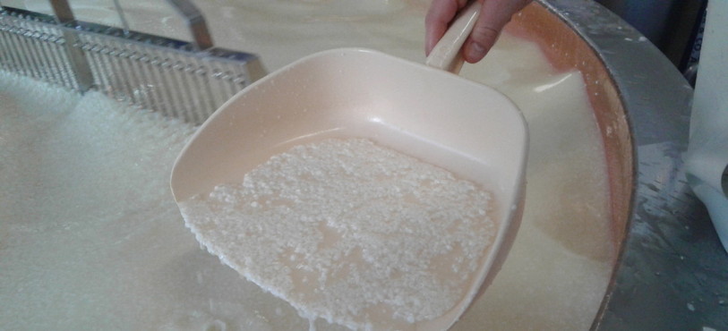 Fabrication du Gruyère AOP