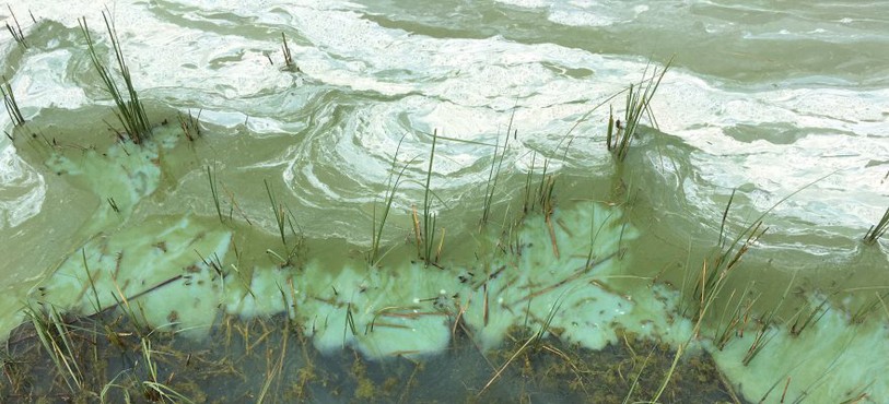Depuis quelques jours, le Lac des Taillères est recouvert d'une étrange substance.