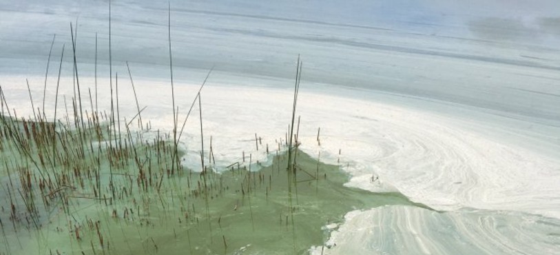 Depuis quelques jours, le Lac des Taillères est recouvert d'une étrange substance.