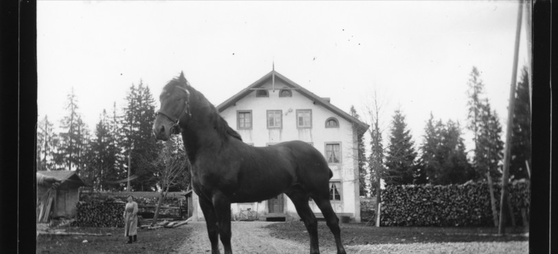 Numérisation des photographies Eugène Cattin_137 J 001-3095 pour le service des archives du Jura (Suisse). La numérisation est effectuée à partir de tirages noir/blanc qui proviennent de plaques de verre.