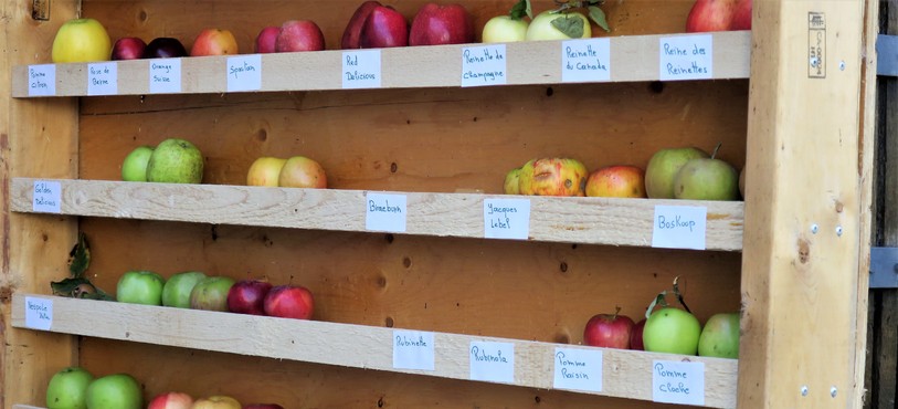 Pressoir à pommes à Glovelier