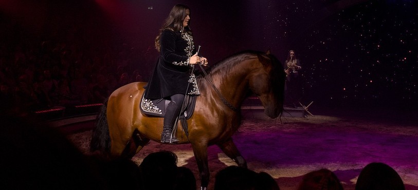 Cirque KNIE 2026