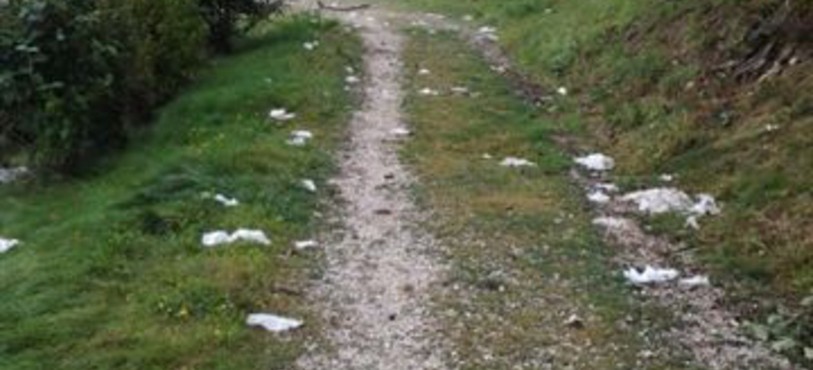 Excréments laissés par les gens du voyage à Courroux