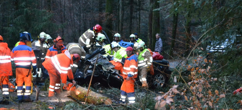 Un sapin s’abat sur une voiture entre Vendlincourt et Courtavon