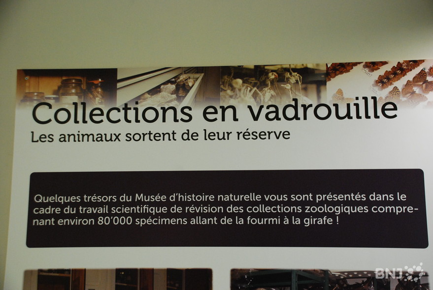 Louvre] Les cadres sortent de leur réserve