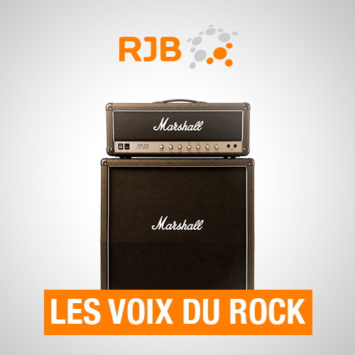 Les Voix du rock